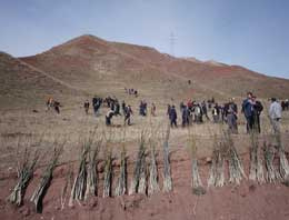 Van Gölü'nü Bitlis kurtaracak!