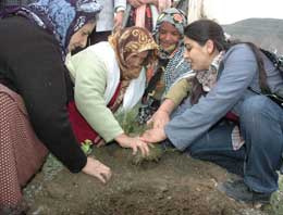 Hakkarili kadınlar fidan dikti