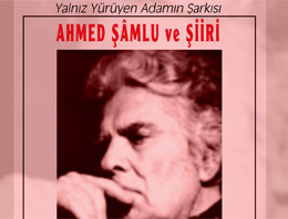 Yalnız yürüyen adamın şarkısı