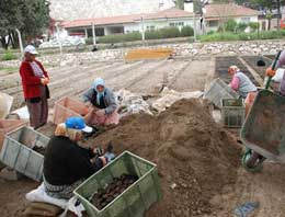 Amasya'da fidanla rehabilitasyon