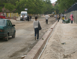 Malatyada ağaç katliamına büyük tepki