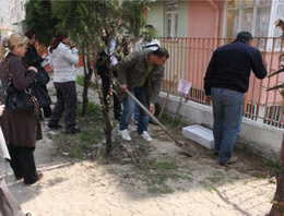 Türkiye'nin en hayvansever belediyesi