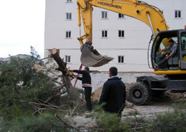 CHP'li belediye otel için ağaç kesti