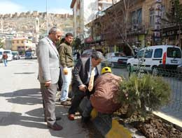 Bayburt	a ağaçlandırma seferberliği